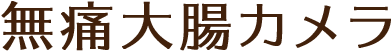 無痛大腸カメラ