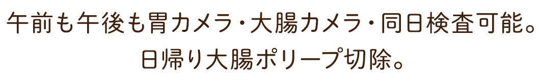午前も午後も胃カメラ・大腸カメラ・同日検査可能。日帰り大腸ポリープ切除。