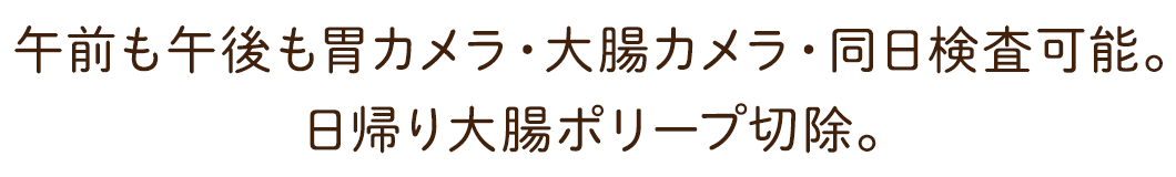 即日胃カメラ、午後・夕方の胃カメラ可能。入院不要の日帰り大腸ポリープ切除。