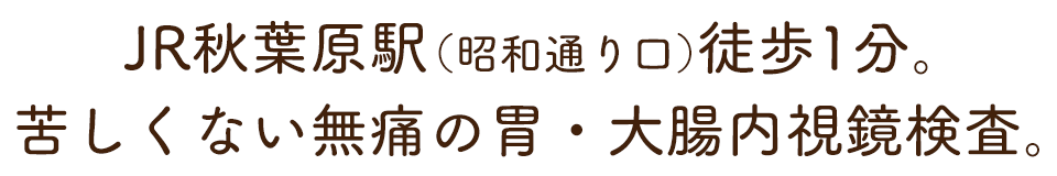 秋葉原内科内視鏡クリニック 胃カメラ 大腸内視鏡検査 秋葉原１分