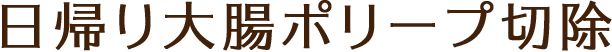 日帰り大腸ポリープ切除